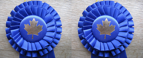 blue ribbons with maple leaves in centre