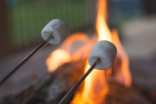 marshmallows roasting on a fire