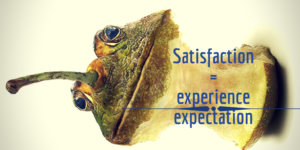 an eatten apple that has frog skin and head, with equation "satisfaction = experience / expectation"