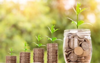 coins piled in increasing amounts sprout leaves
